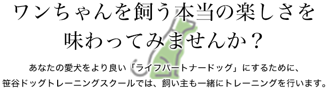 ワンちゃんを飼う本当の楽しさを味わってみませんか？