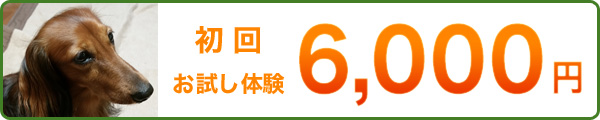基本料金プラン 週2回/1ヶ月40,000円(月8回) 日曜日・祝日はお休み